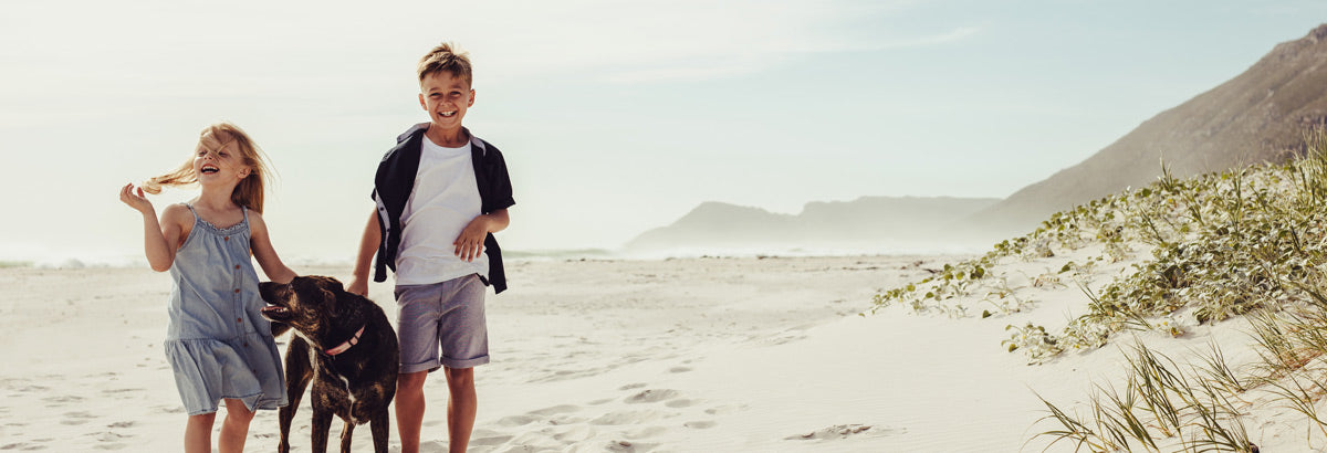 Two kids and a dog on the beach