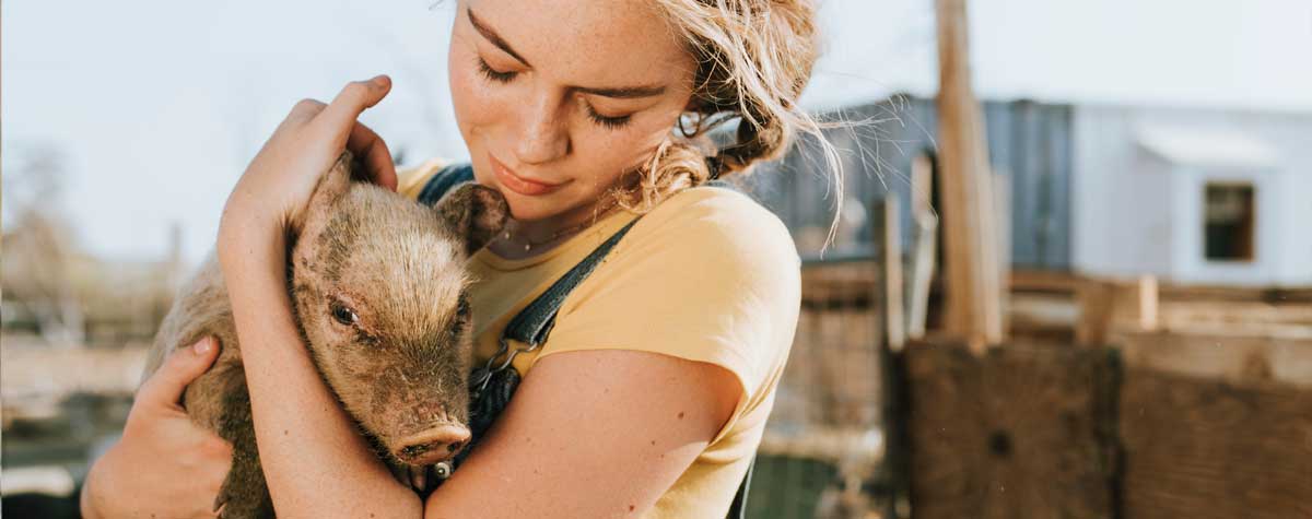 A girl holding a pet pig