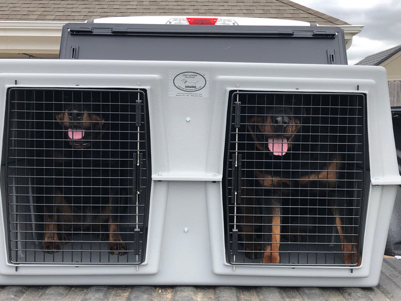 Two dogs in a EZ-XL Tough Kennel