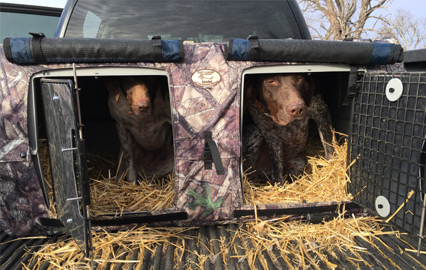 Two hunting dogs inside a truck Dog Box with Cold Weather Doors