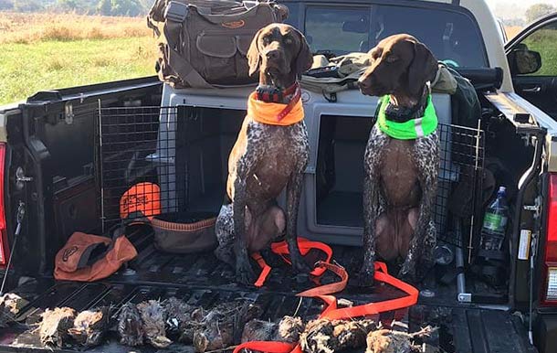 Hunting dog kennels for sales trucks