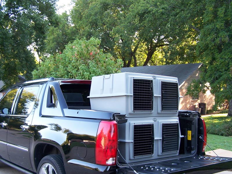 Dog kennel outlet in truck bed