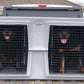 Two dogs in a EZ-XL Tough Kennel